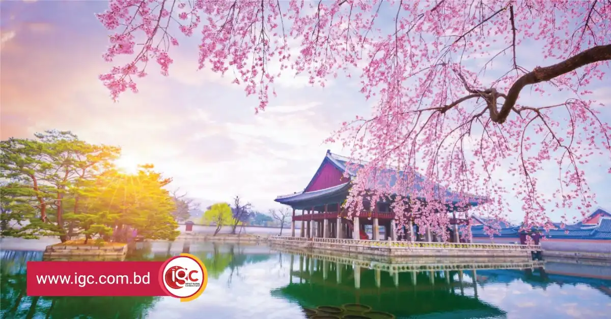 PR in South Korea after Study for International Students